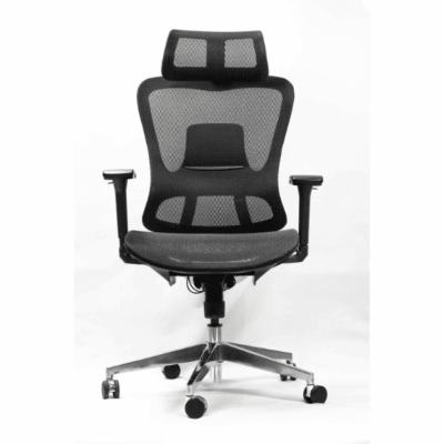Prime Ergonomic Chair