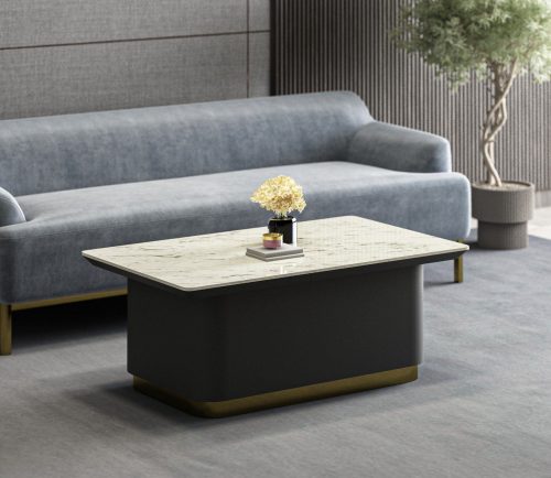 Luxury Coffee Table