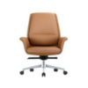 Tan Meeting Chair