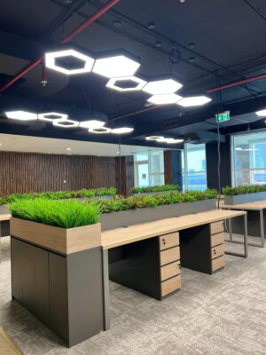 Delivered Projects