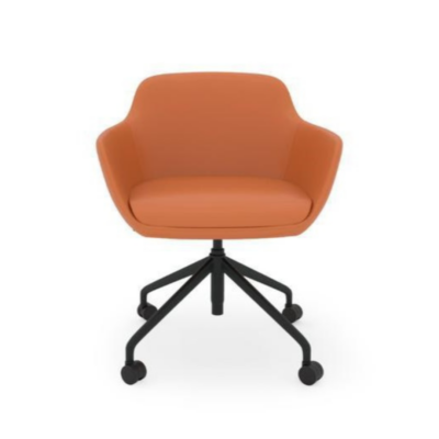 Regal Lounge Chair