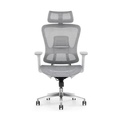 Dome Ergonomic Chair