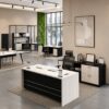 CEO Mild Office Furniture